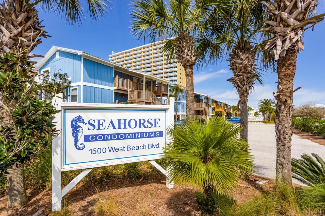 海湾海岸Seahorse 612公寓 外观 照片